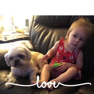 Meet your Posher, Sylvie